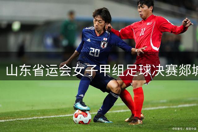 山东省运会女子甲组足球决赛郯城开幕 230名女将绿茵争锋