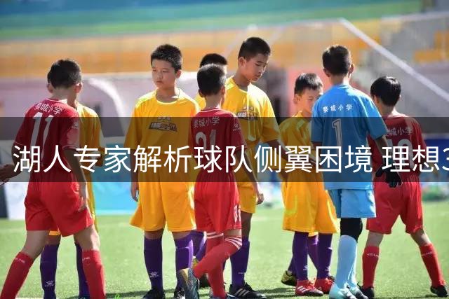 湖人专家解析球队侧翼困境 理想3D球员难寻