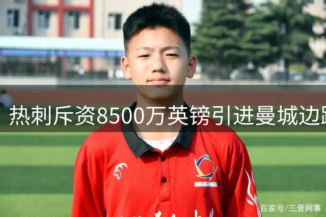 热刺斥资8500万英镑引进曼城边路悍将萨维奥